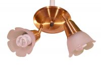 Centro articulado 2 luces