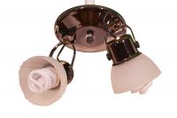 Centro direccionable 2 luces