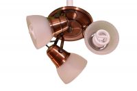 Centro direccionable 3 luces