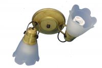 Centro  direccionable 2 luces